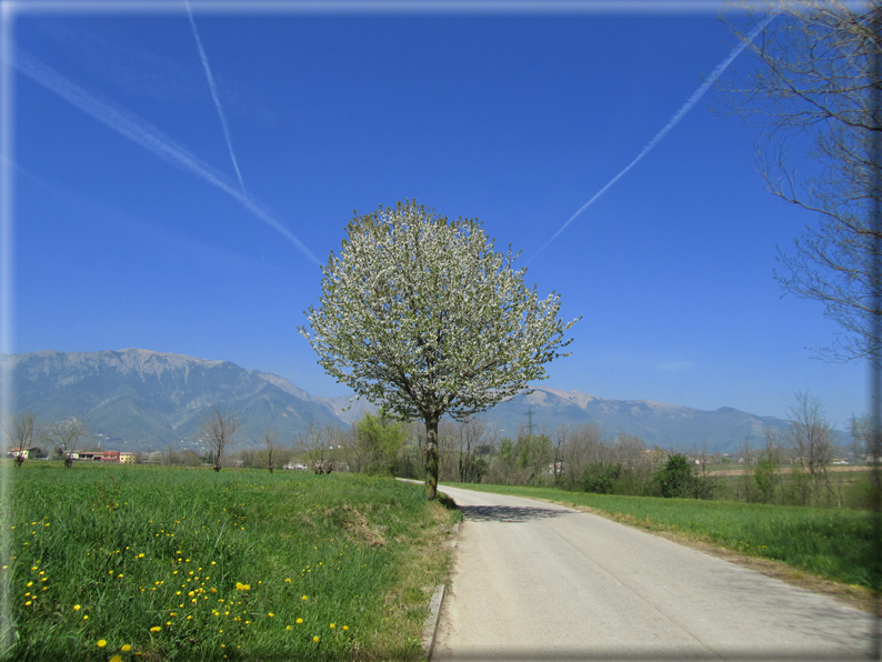 foto Paesaggi Collinari in Primavera